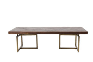 DUTCHBONE Klasse sofabord, sildeben, rektangulær - brun træ og guld stål (120x60)