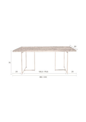 DUTCHBONE Klasse spisebord, sildeben, rektangulær - brun træ og guld stål (220X90)